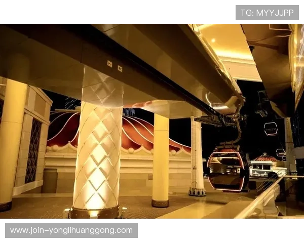 永利官方旗舰店多样化产品选择，满足不同客户的个性化需求