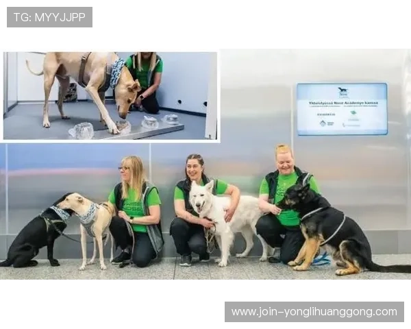 永利总站检测路线优化方案，提升检测效率和准确率的实用建议