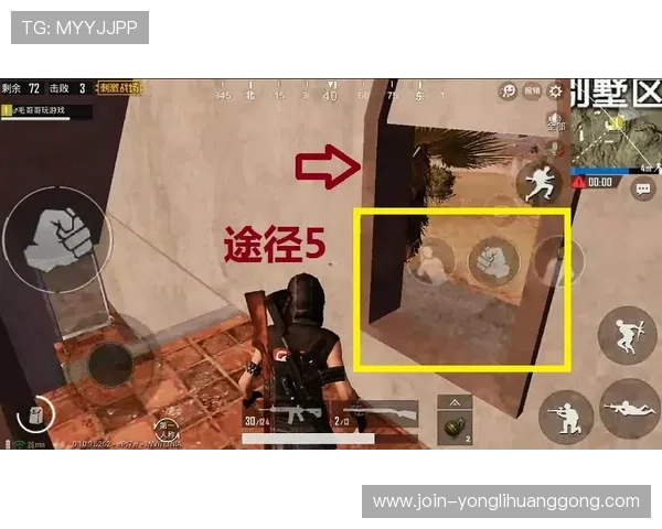 水晶宫官网最新公告与活动信息全面解析助你掌握游戏动态