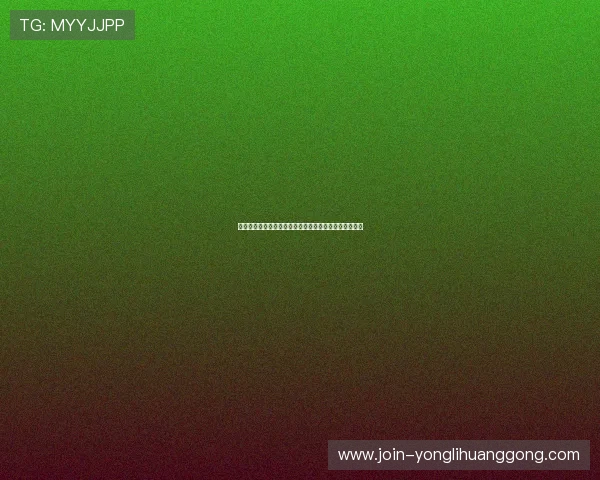 永利娱乐城全面介绍：最新优惠活动与安全保障措施解析