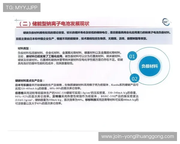 永利达电池技术创新引领行业发展,为网络游戏玩家带来更稳定更持久的电力支持 永利达电池技术创新引领行业发展,为网络游戏玩家带来更稳定更持久的电力支持