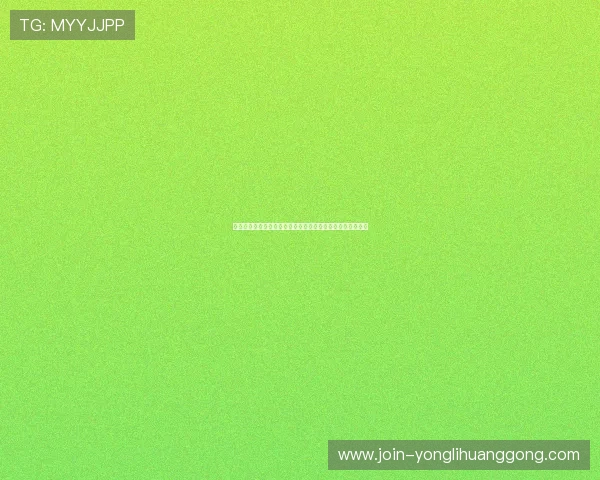 澳门永利旗舰网站客户服务与技术支持详尽解答玩家常见问题