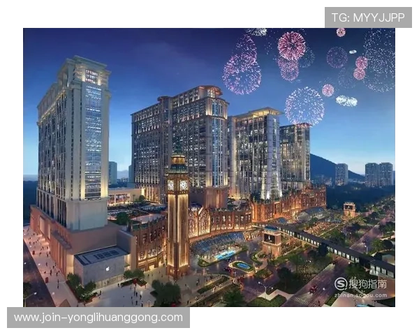 澳门贵宾厅的历史背景与发展现状，探索澳门高端服务的新标杆