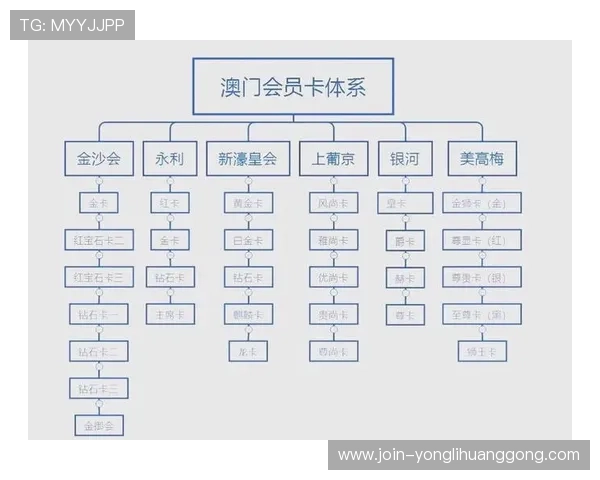 澳门赌场网站评价：最新排名与优惠活动推荐指南