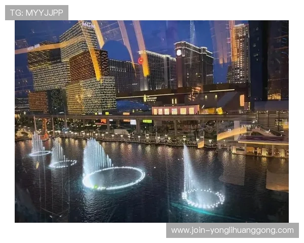 永利地址导航大全,提供多种安全稳定的登录入口方便用户使用